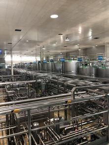 蒙牛工廠迎全球GDP代表參觀，以企業(yè)智慧夯實(shí)合作共贏之基