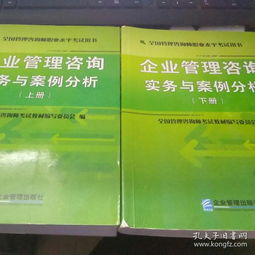 企業(yè)管理咨詢(xún)實(shí)務(wù)與案例分析